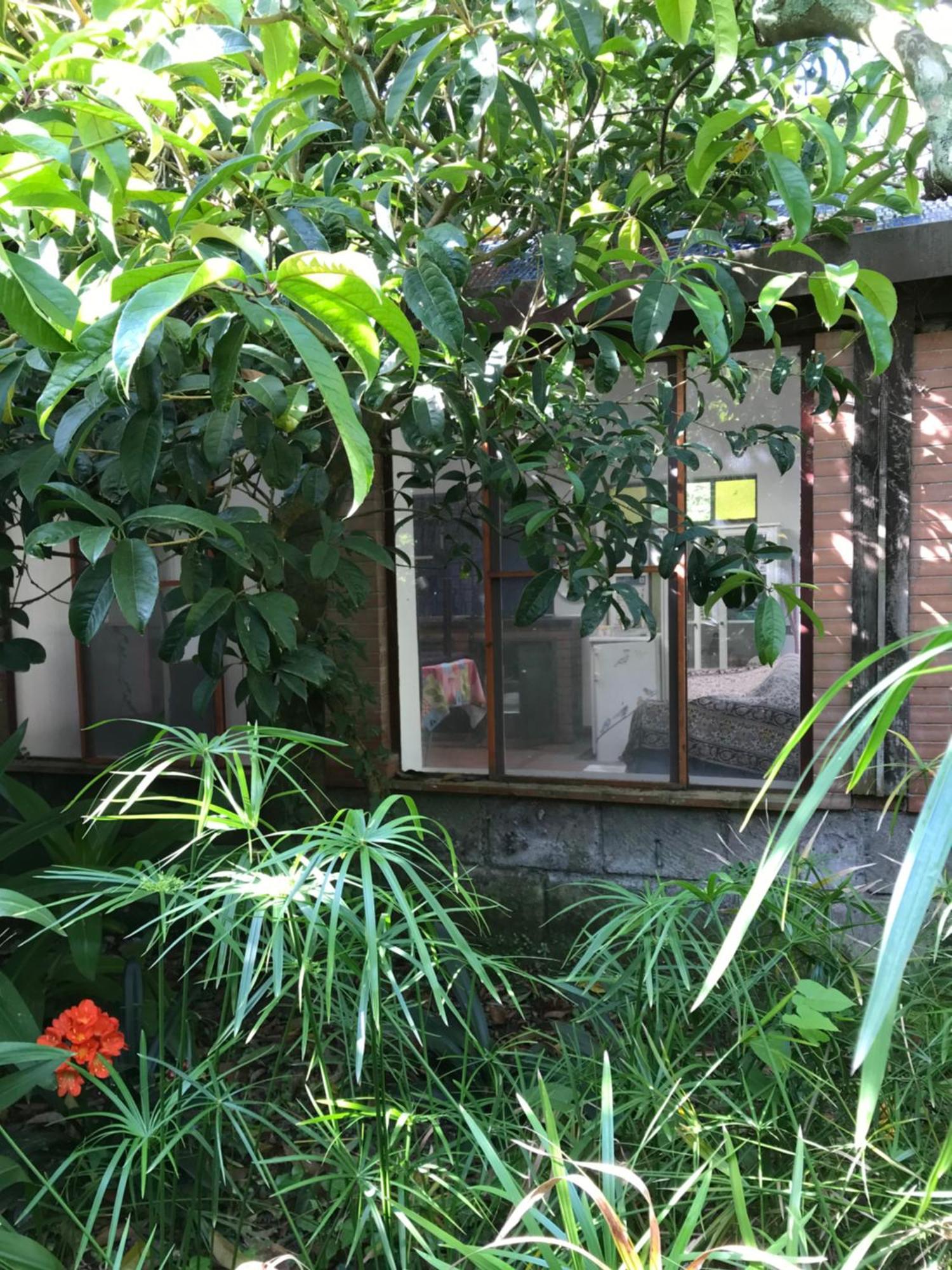 La Gallina Felice B&B Meta Ngoại thất bức ảnh