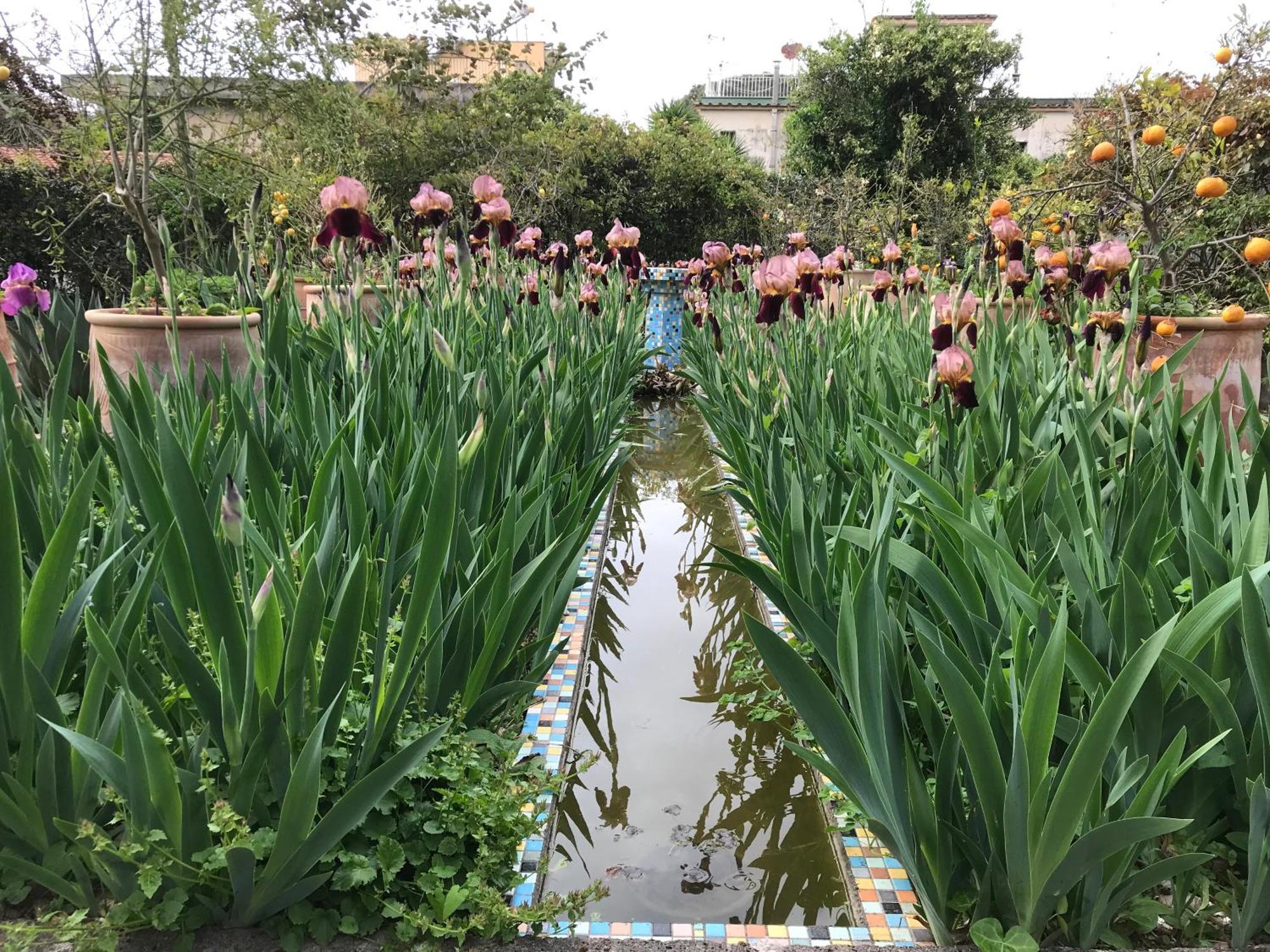 La Gallina Felice B&B Meta Ngoại thất bức ảnh