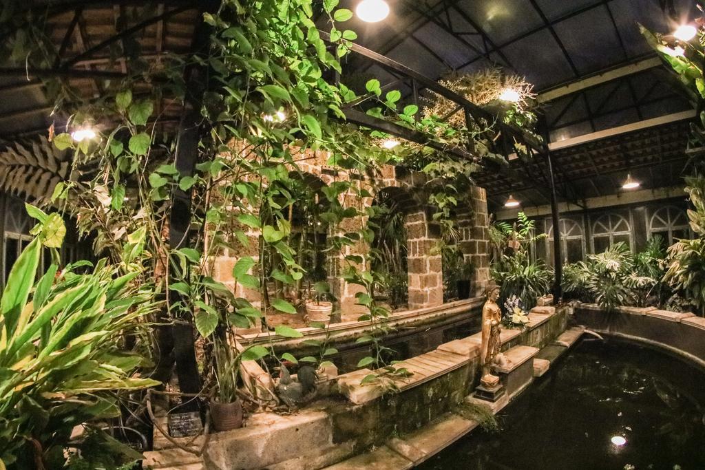 La Gallina Felice B&B Meta Ngoại thất bức ảnh