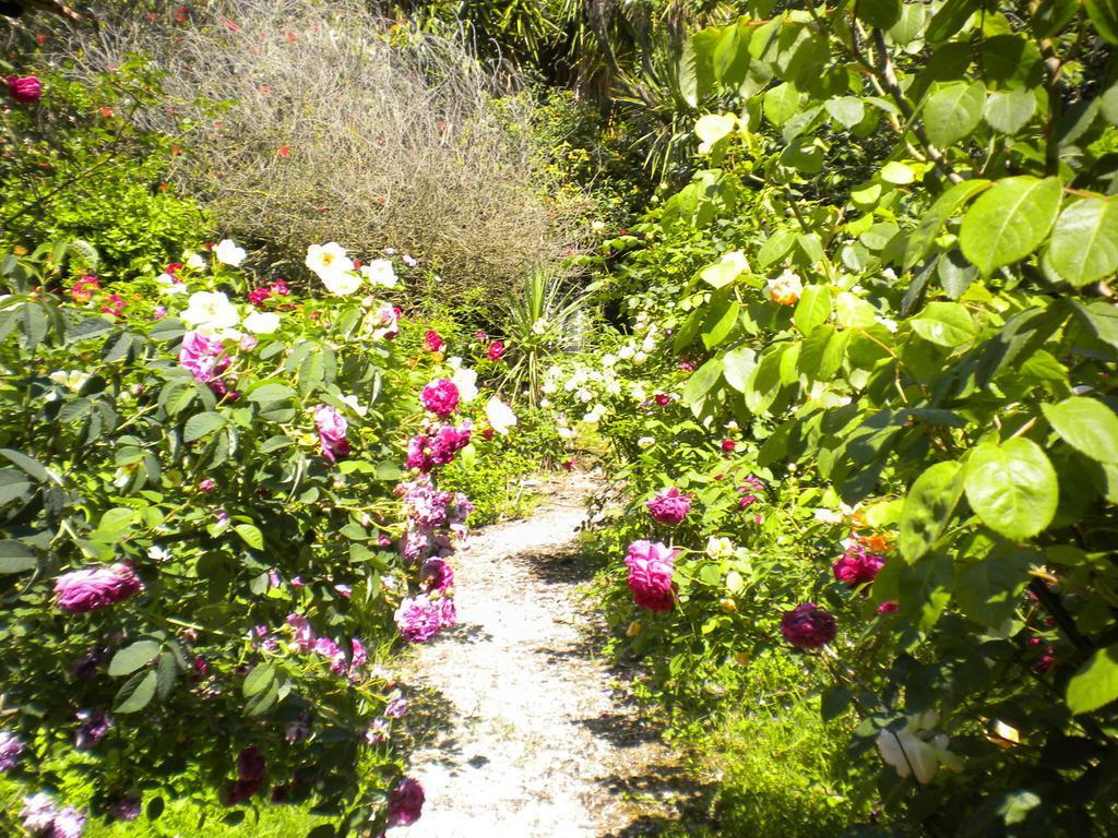 La Gallina Felice B&B Meta Ngoại thất bức ảnh