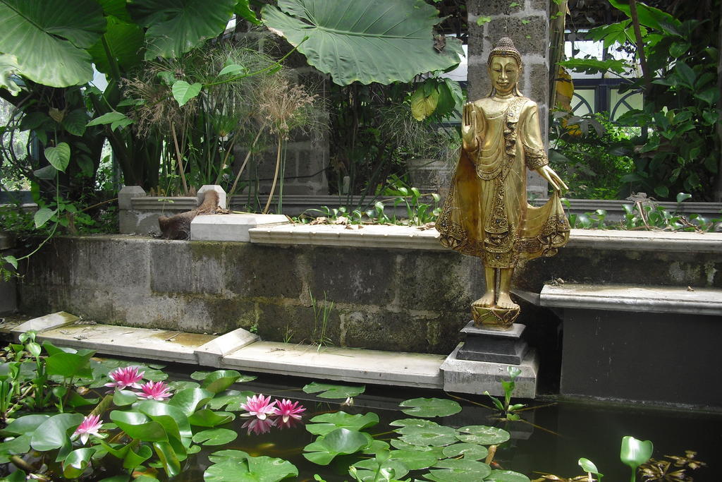 La Gallina Felice B&B Meta Ngoại thất bức ảnh
